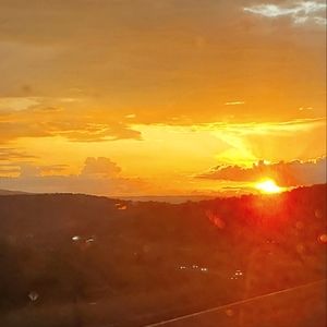 Meet your Posher. . .